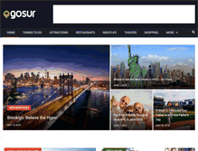 Tablet Screenshot of gosur.com